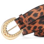 modèle Pardus ceinture